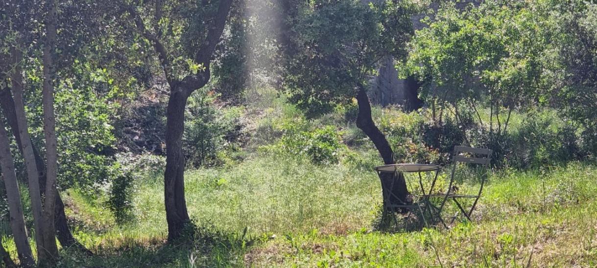 Saint-Esteve-Janson Les Bois De Zola Entre Provence Et Luberonアパートホテル 部屋 写真