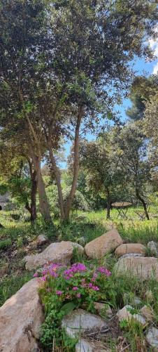 Saint-Esteve-Janson Les Bois De Zola Entre Provence Et Luberonアパートホテル エクステリア 写真