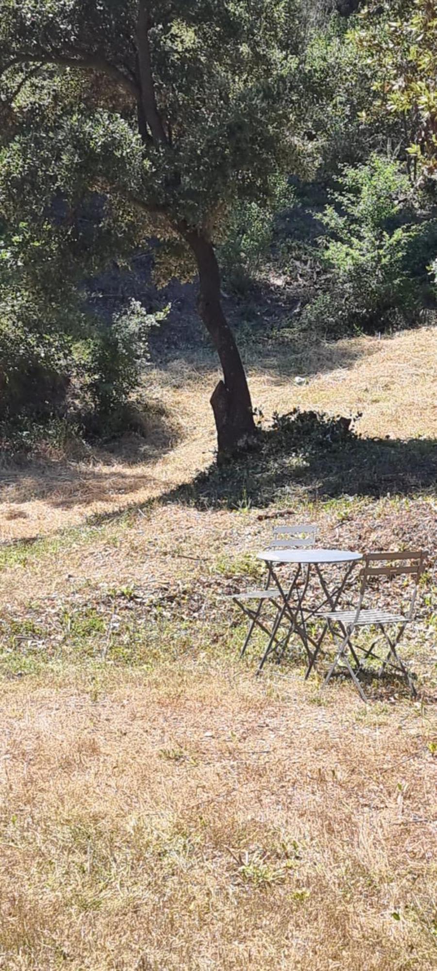 Saint-Esteve-Janson Les Bois De Zola Entre Provence Et Luberonアパートホテル エクステリア 写真