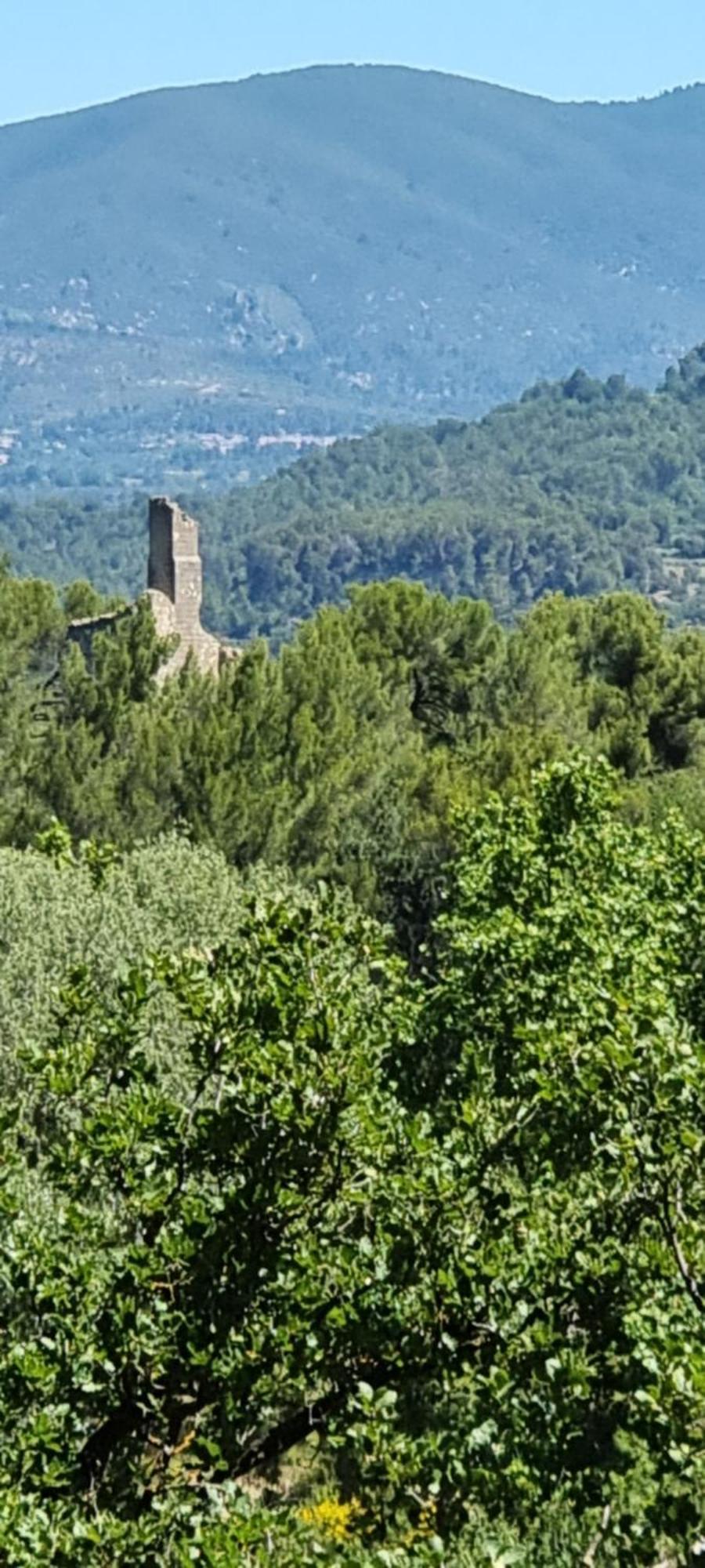 Saint-Esteve-Janson Les Bois De Zola Entre Provence Et Luberonアパートホテル エクステリア 写真